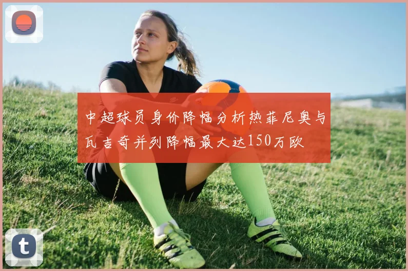 中超球员身价降幅分析热菲尼奥与瓦吉奇并列降幅最大达150万欧